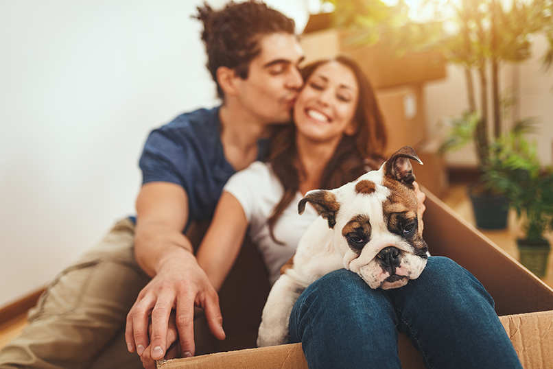 Gen Z’s priorities lie with pets not partners in home searches: Survey